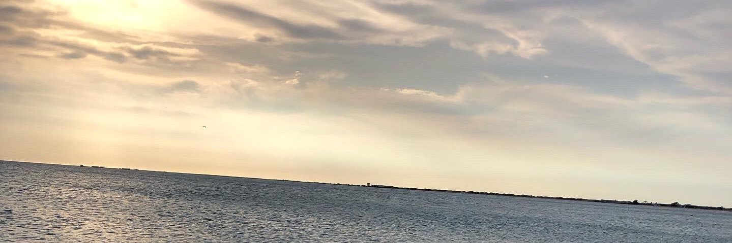 shaildjesus's profile banner image