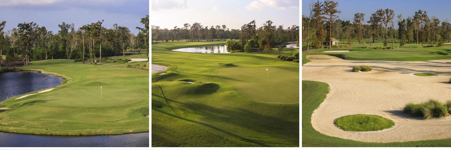 Roberto R Garza M banner