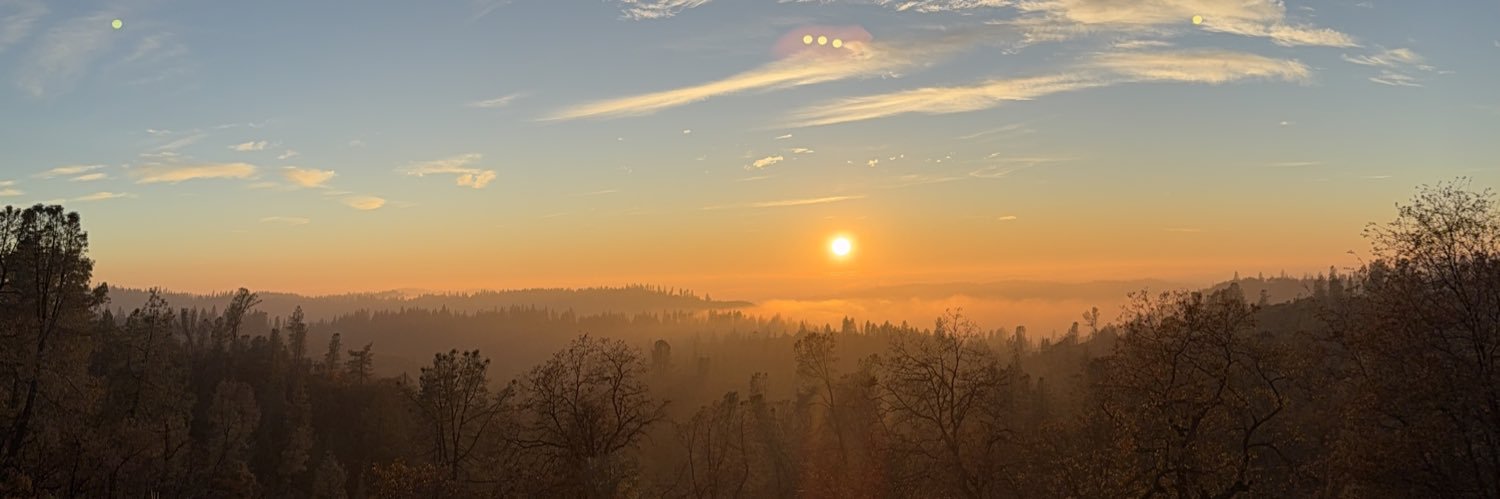 CeraSunflower's profile banner image
