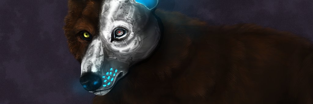 badwolf3's profile banner image