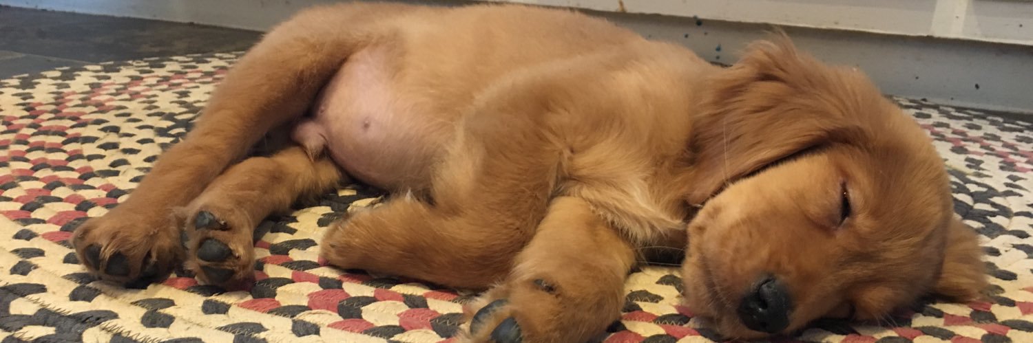 kayqueezy's profile banner image