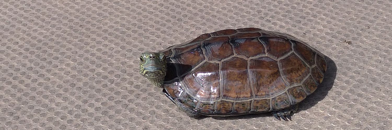 KH(非リア王) banner