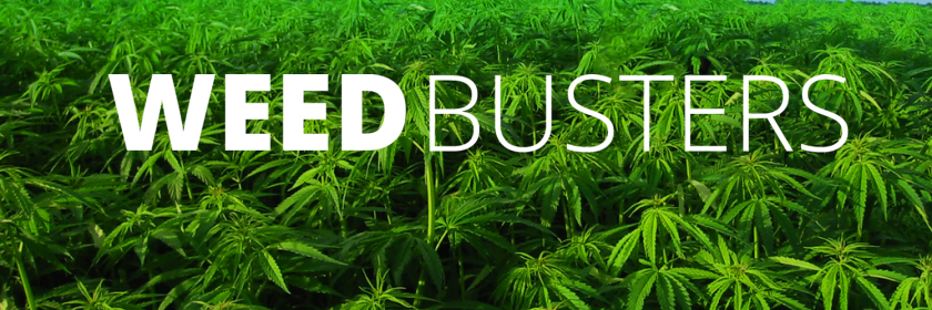 WeedBustersInfo's profile banner image