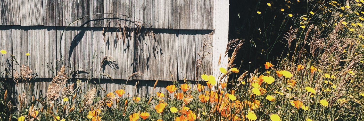 emmaselene_'s profile banner image