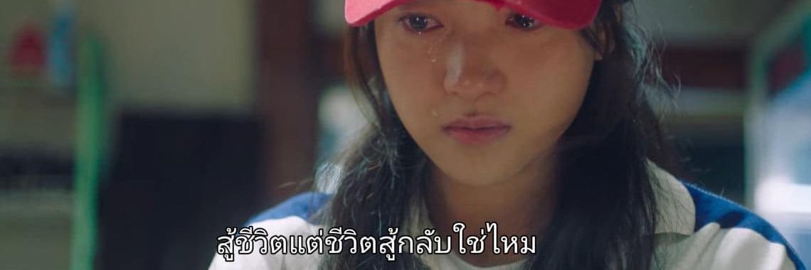 ทาสแมว banner
