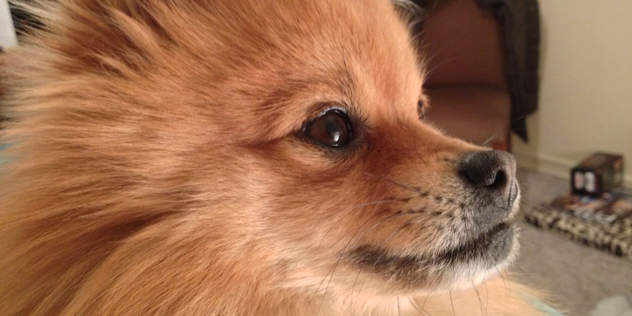 camigs's profile banner image