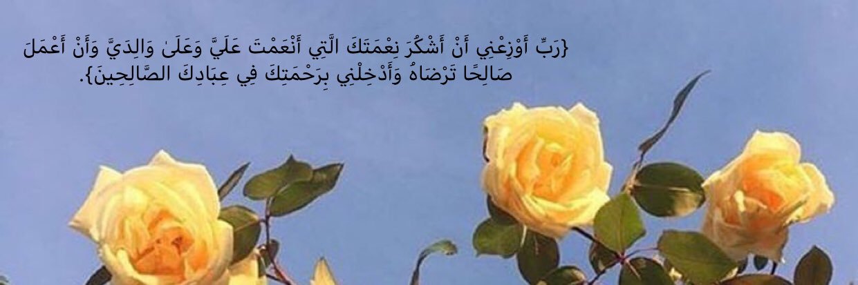 umjwad55's profile banner image