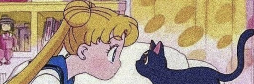 Ava_Hermanson's profile banner image