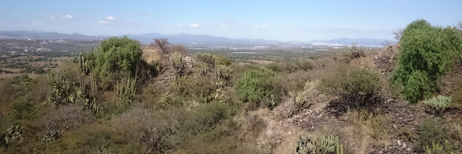 alfo27's profile banner image