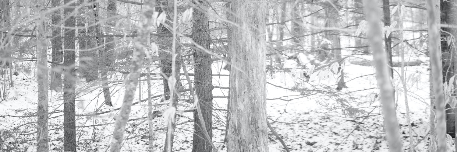 AlwaysOnTen's profile banner image