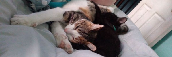 mc_artigas Profile Banner