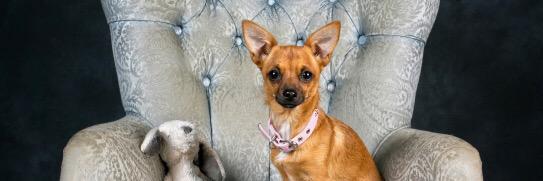 Nickyp banner