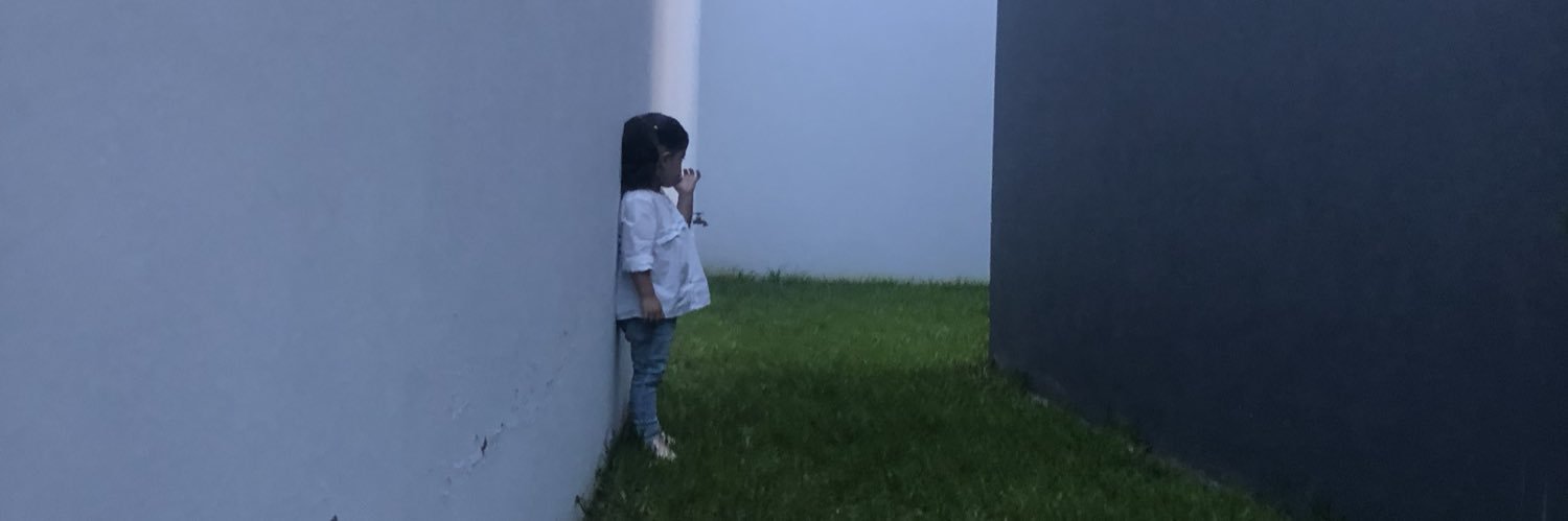 pelusaglez's profile banner image