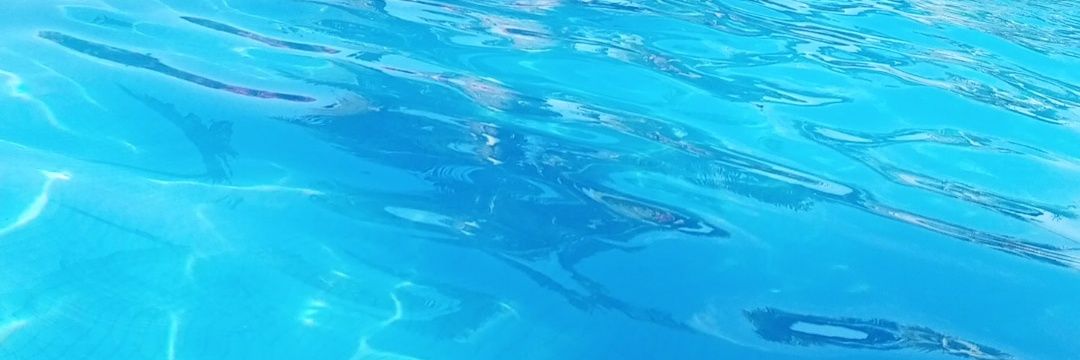 fefygonzalez_'s profile banner image