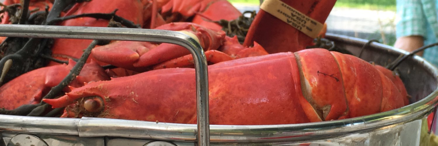 firedup&readytogo banner