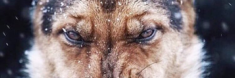 C_Deezy_'s profile banner image