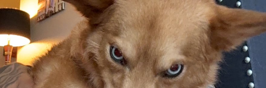 haileyyyy_0's profile banner image