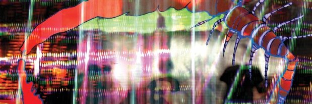 Brad. banner