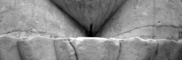 GuruBayley Profile Banner
