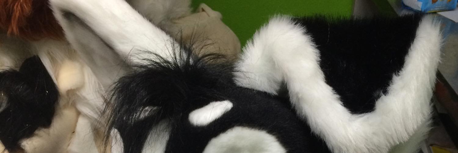 KokuHusky's profile banner image