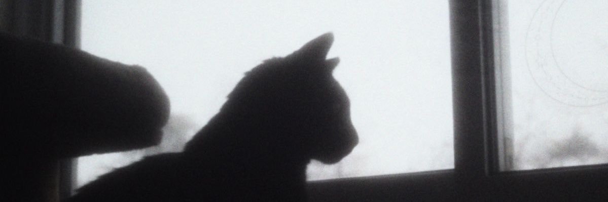 Sofiaedms's profile banner image