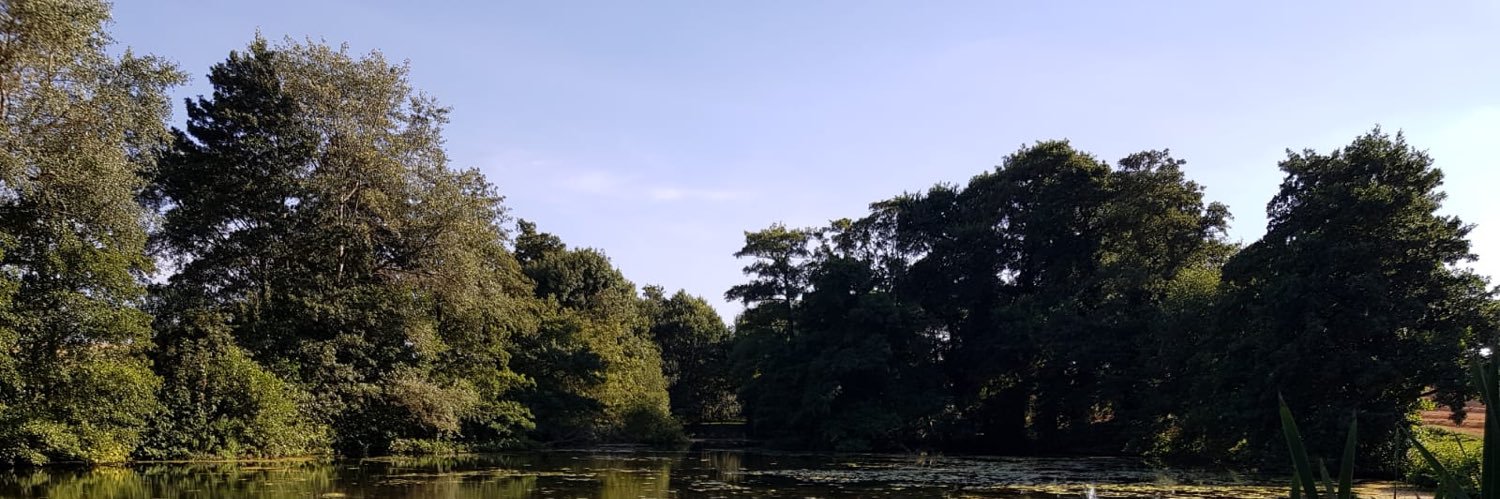 DowsingPete's profile banner image