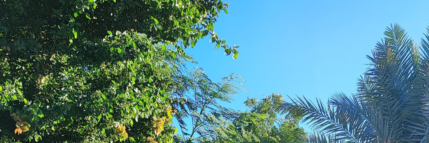 ALBIHAWE's profile banner image