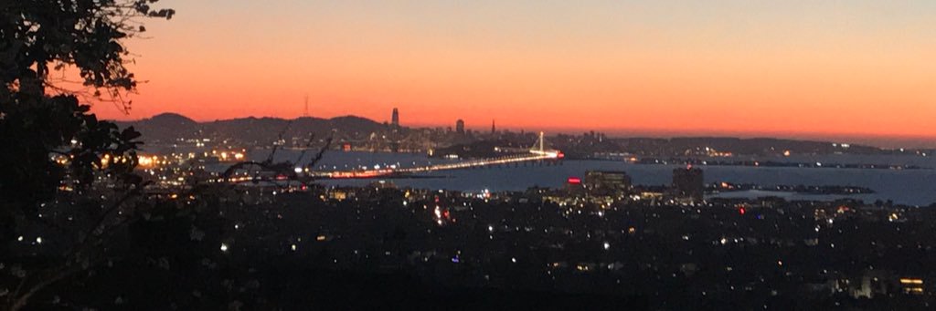 saraortloff's profile banner image