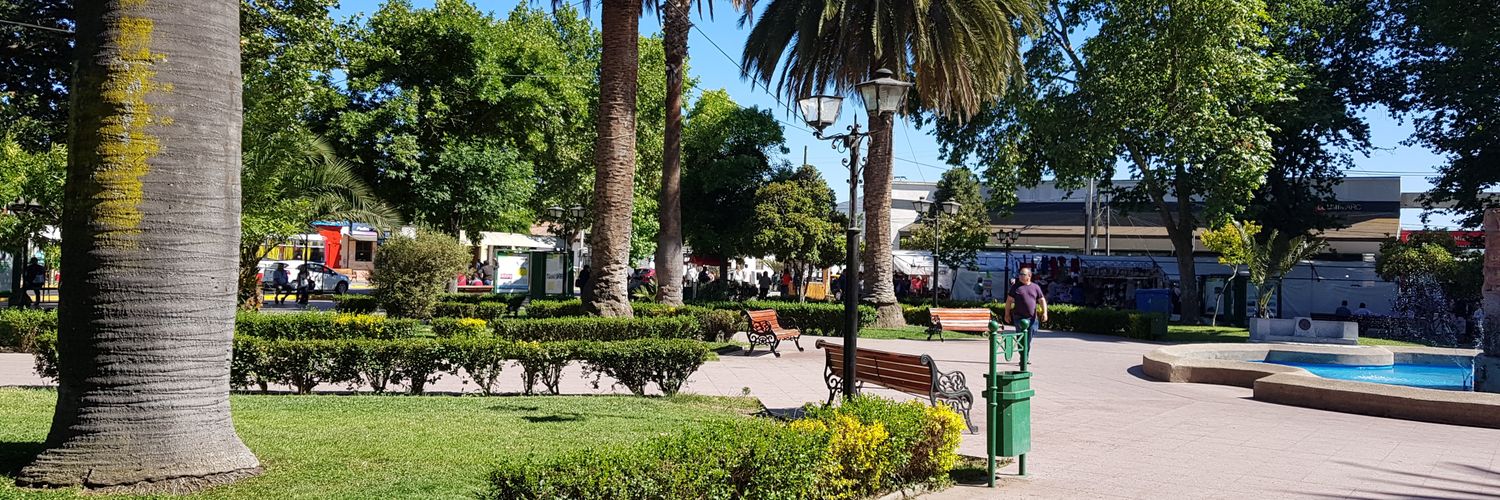 🚨🔴 ViveCASABLANCA 🔴🚨🇨🇱 banner