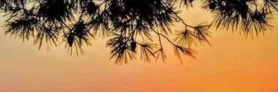 Julie 🇨🇦 banner