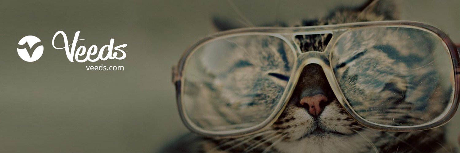 veedsbrain's profile banner image