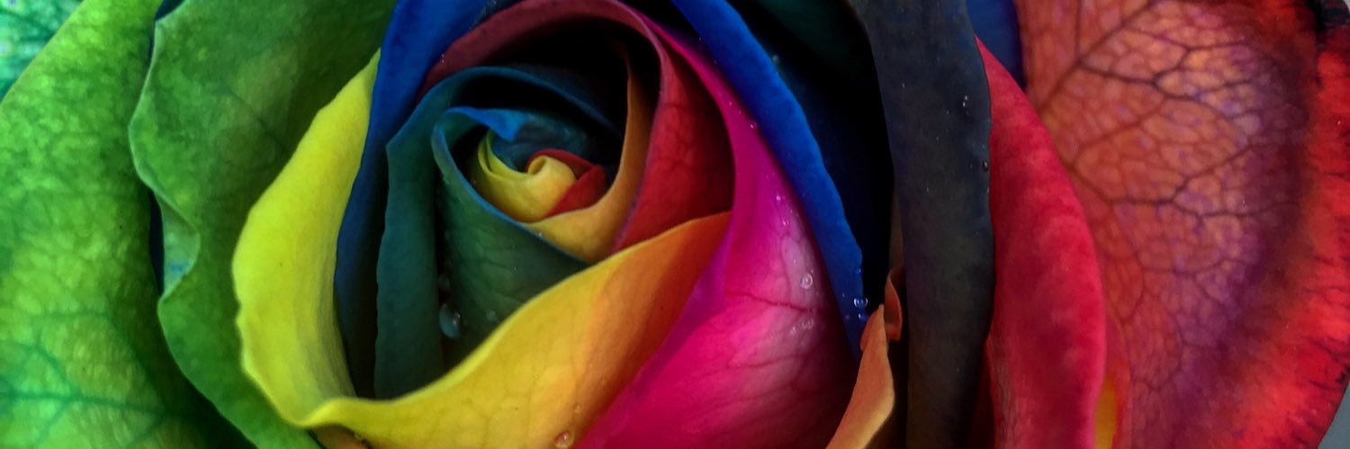 Hannkitty_'s profile banner image