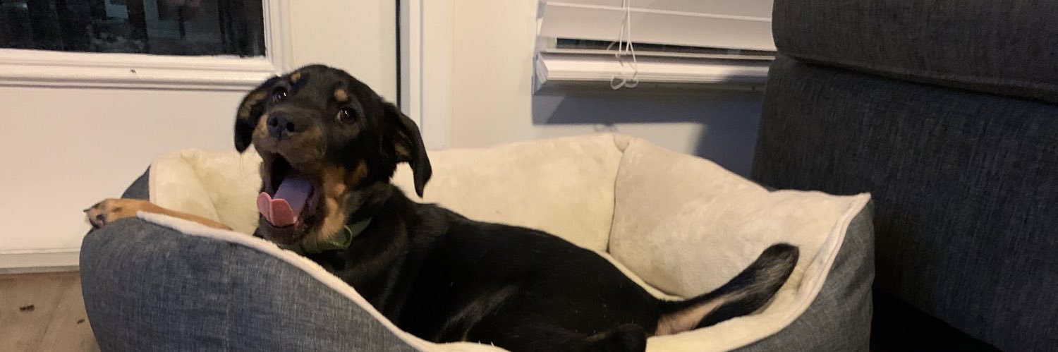 porkchaps's profile banner image
