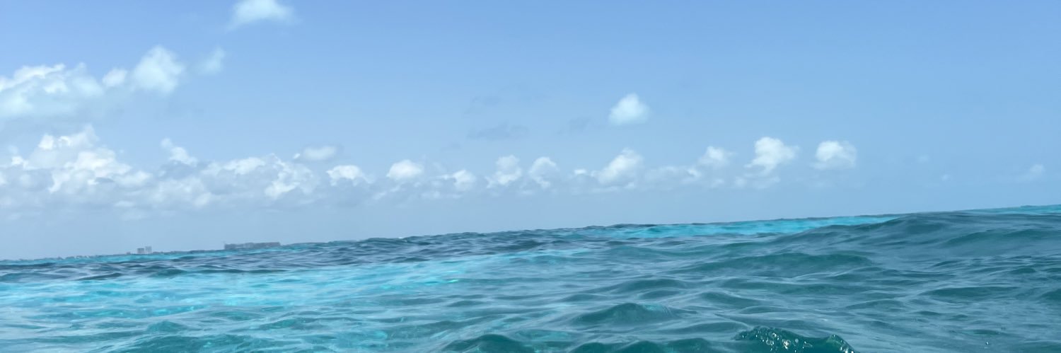 cosmicflowerz's profile banner image