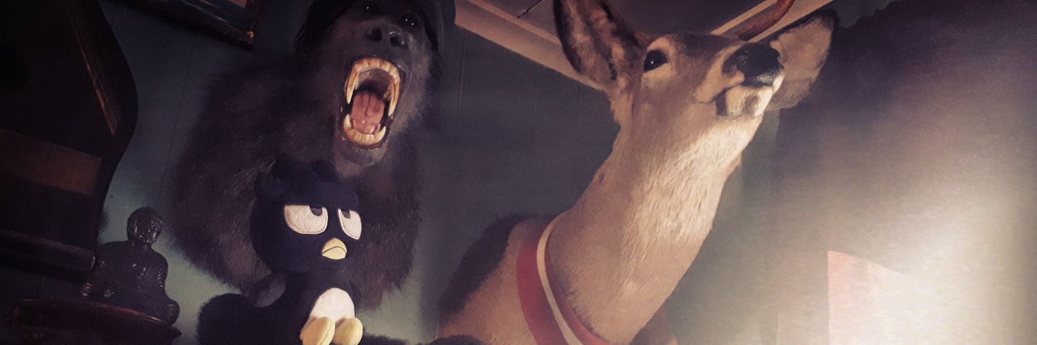 alaska B // 潘思薇ちゃん banner