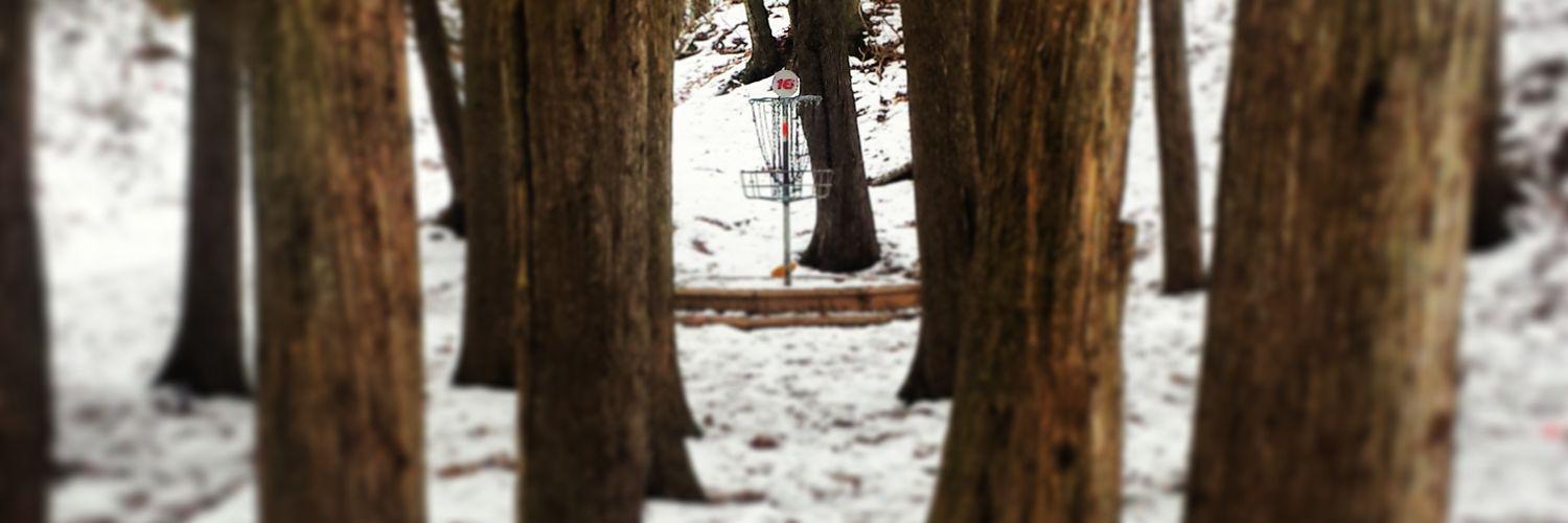 lfish_discgolf's profile banner image