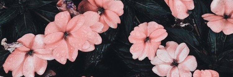 VasquezSolanlly's profile banner image