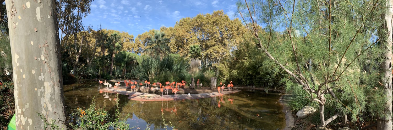 مشعل البشر banner