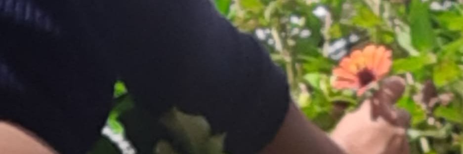 Juci_Reis's profile banner image