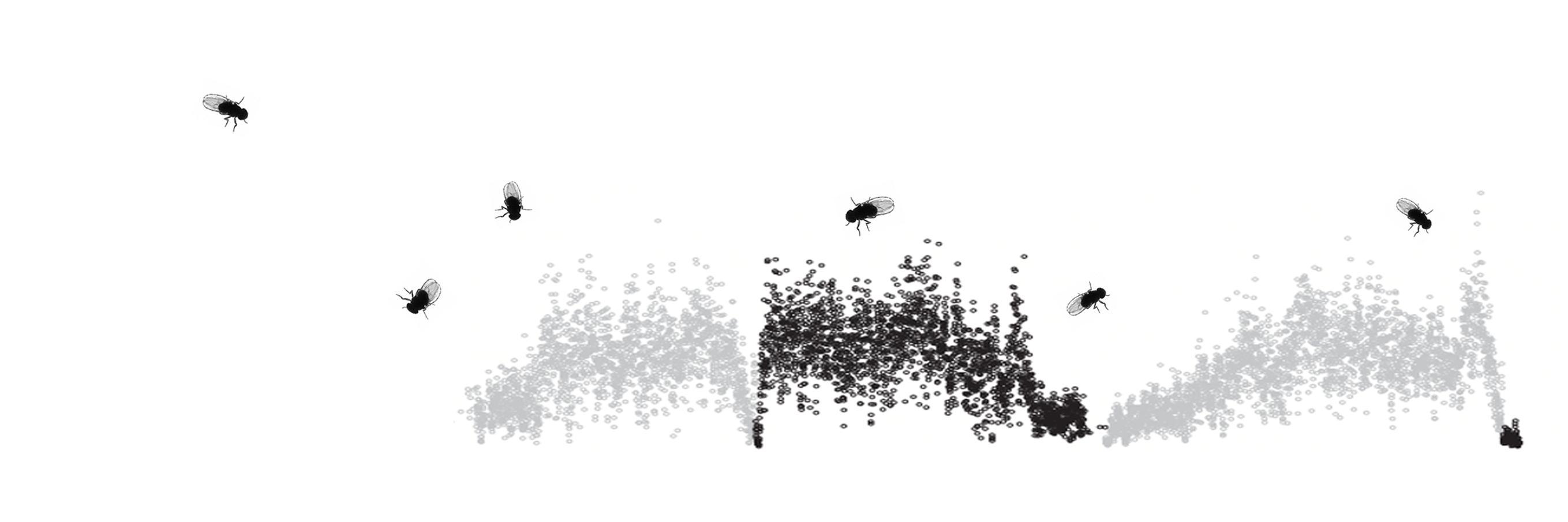 PopGen Vienna banner