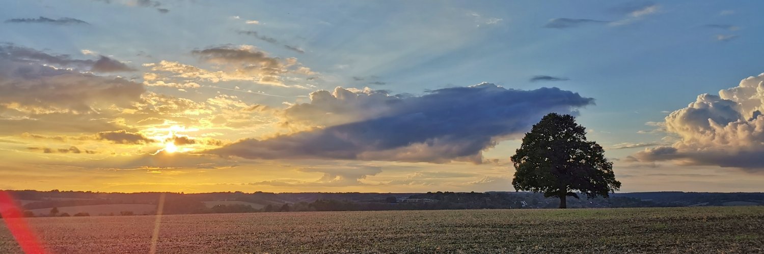 Bucks Free Press banner