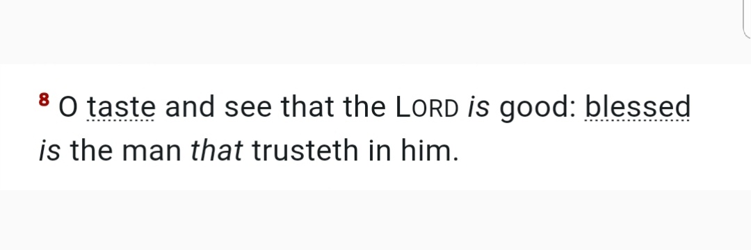 infinite ray. banner