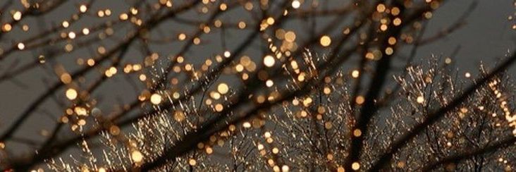 treasuringpete's profile banner image