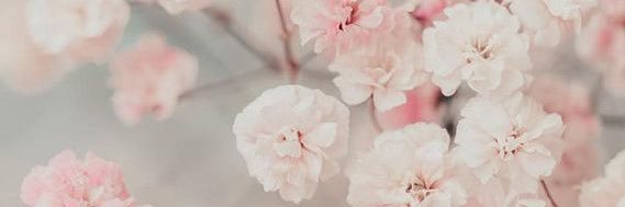 Emma_LBates's profile banner image