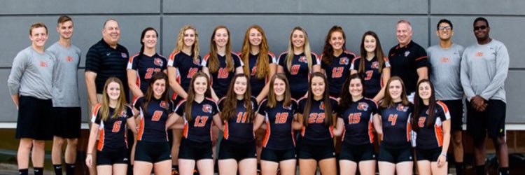 RIT Volleyball banner