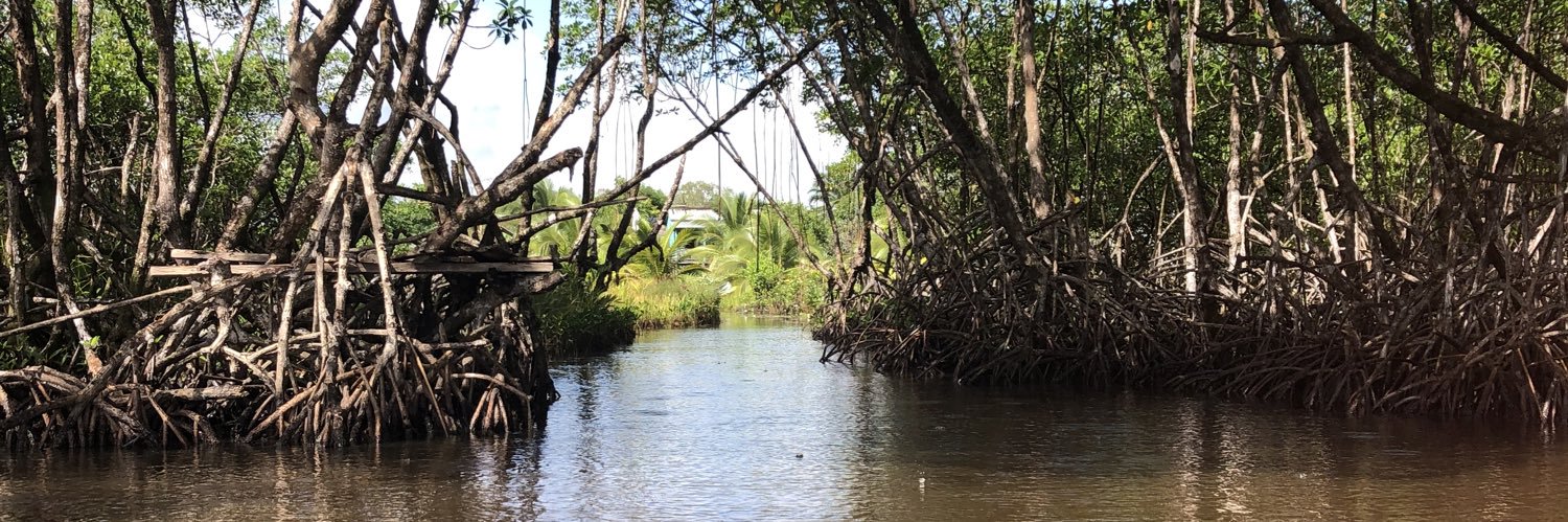 Nessette Falu banner