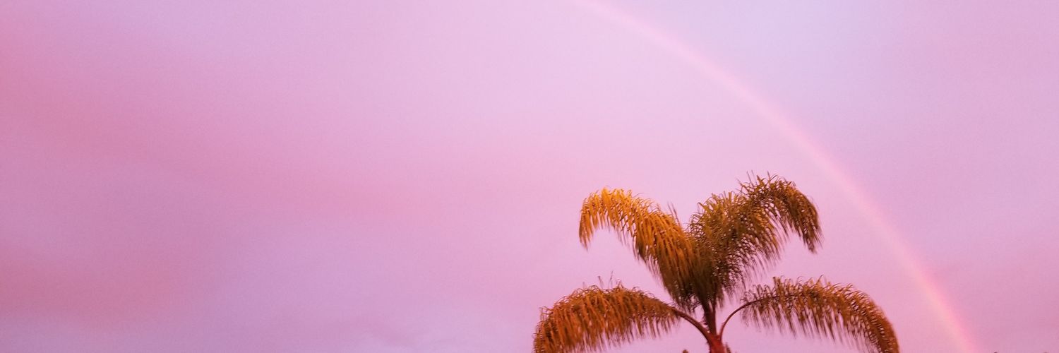 servalpirate's profile banner image