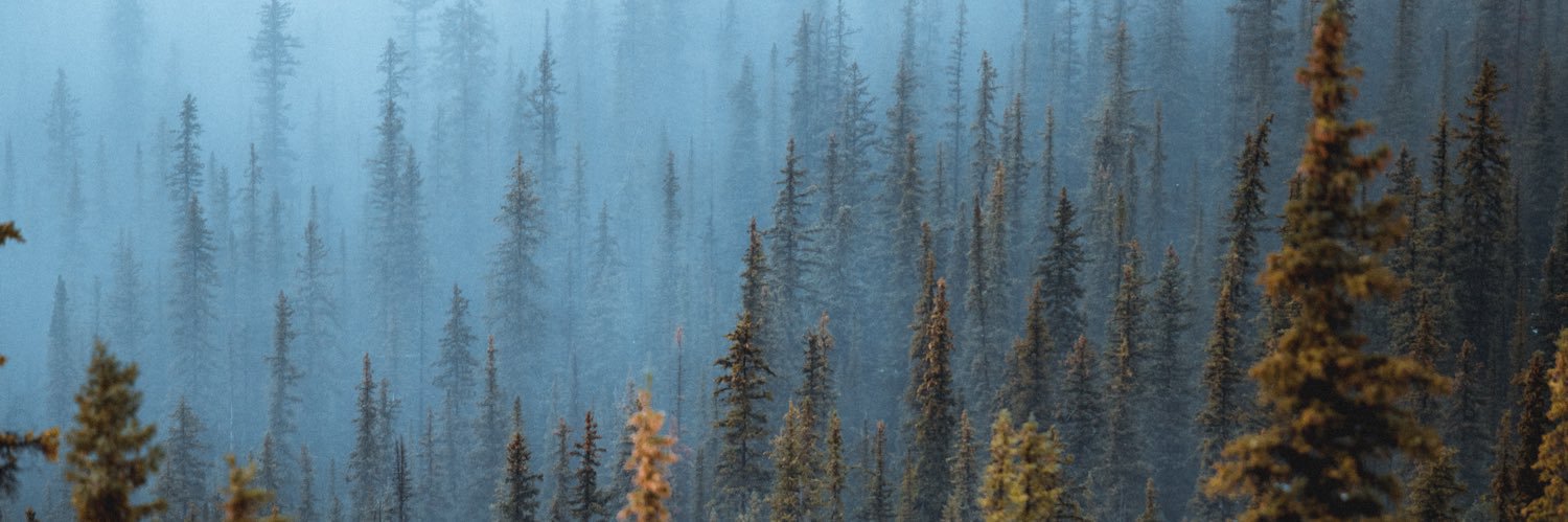 sarahbyyc's profile banner image