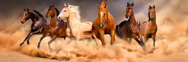i__Saer's profile banner image