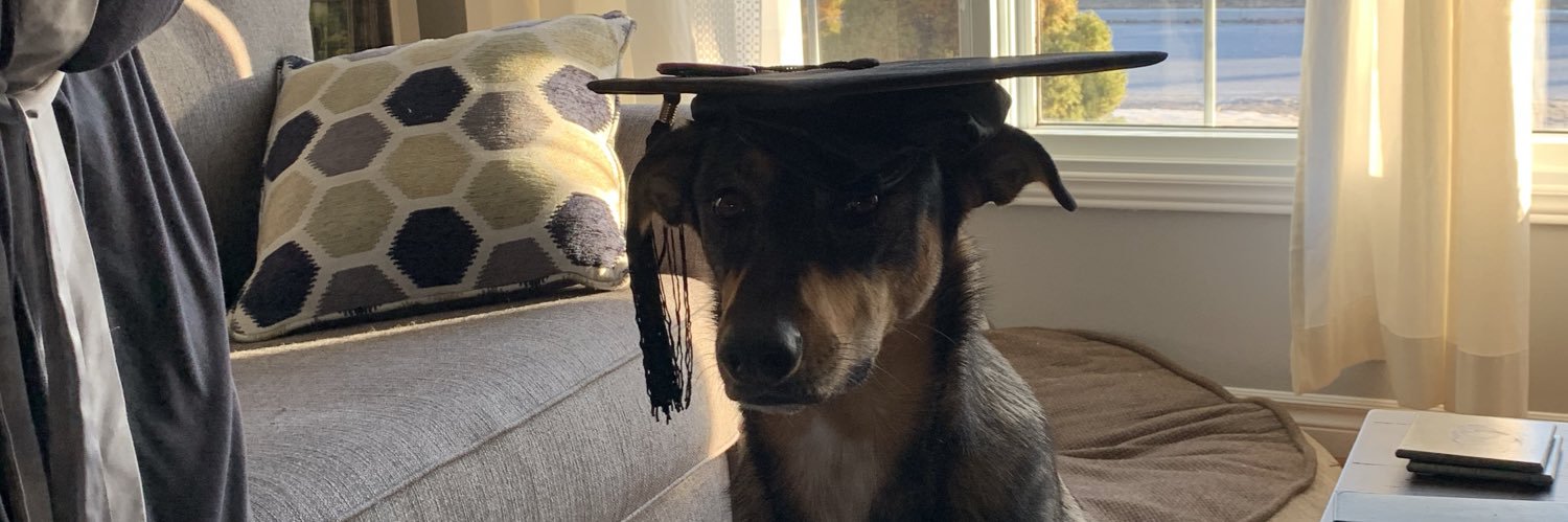 Matt Di Paola banner